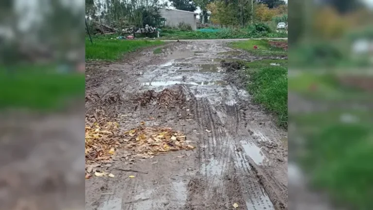 calle-los-hornos-abandono-la-plata-barro-lluviapng