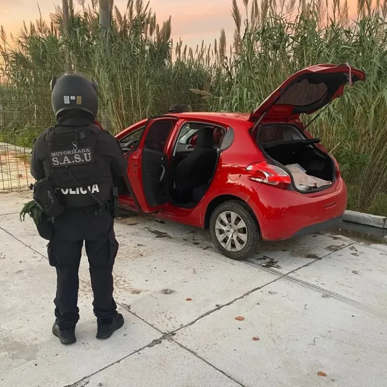 delincuente-robo-auto-1jpg