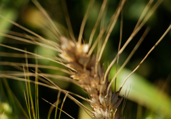 WhatsApp Image 2025-12-30 at 10.38.23