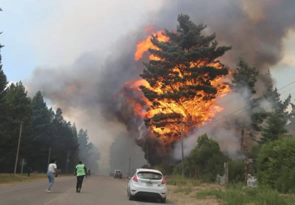 67896ec8715cc_epuyen-incendio-forestal-gentileza-la-radio-de-la-cordillera-13