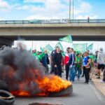 WhatsApp-Image-2024-10-24-at-1.16.26-PM-1