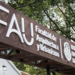 facultad-arquitectura