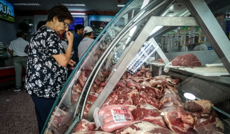 consumo-carne-argentina-carniceriapng